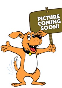 ARCHIE-PICTURE-COMING-SOON