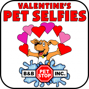 Valentine's Pet Selfies